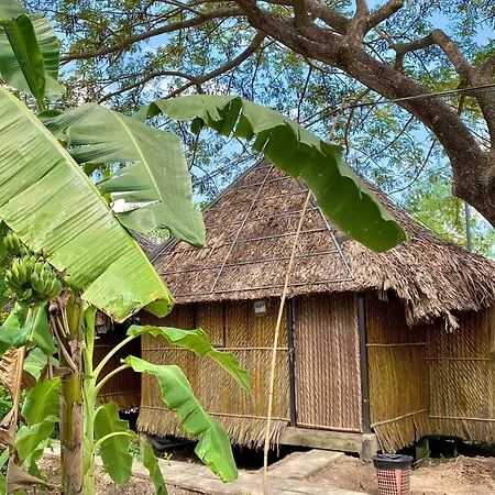 Homestay Mekong Can Tho Exterior photo